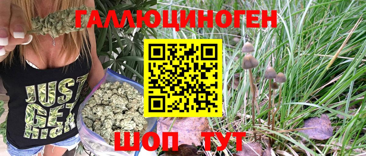 Псилоцибиновые грибы Magic Shrooms Михайловка
